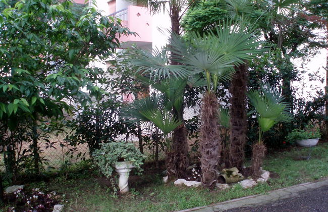 Villa Cristina n. 5 - Foto 32