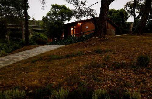 Arrabia Bunga Payva - Foto 26