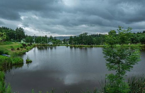 Domki Nad Stawami z Jacuzzi i Sauną 4 - Foto 31