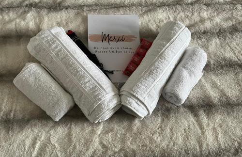 Appartement luxueux Au coeur de lille - Foto 3