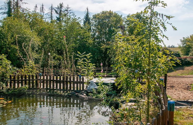 Charming Holiday Home in Houyet Near Forest - Foto 29