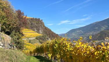 Appartements Toni - Foto 5