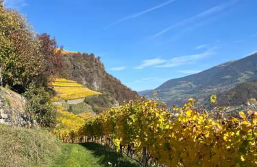 Appartements Toni - Foto 5