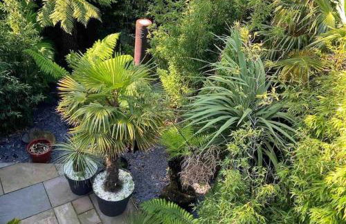 Jungle Cabin - Foto 30