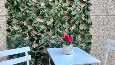 Almamater salamanca - Foto 2