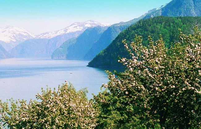 6 Person Holiday Home in Norddal - Foto 19