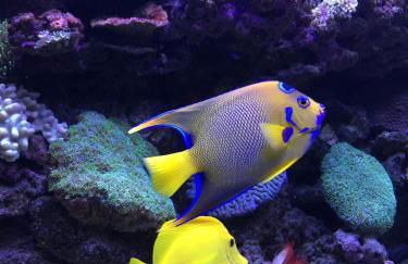 Stylish,luxury duplex Paris city center - Foto 20