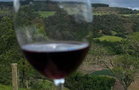 The Valley Cabin - Photo 25