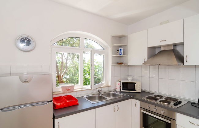 Plavac Mali - Photo 13