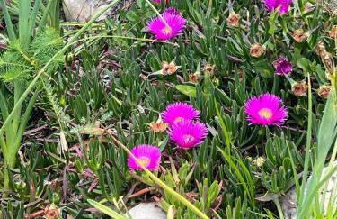 Luxury Villa El Istria with Pool, BBQ, Terrace - Labin-Rabac - Foto 57