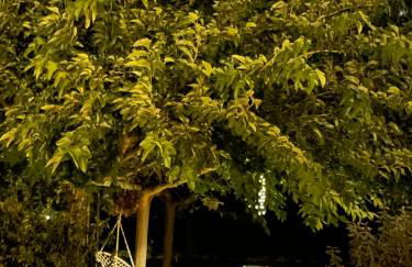 Villa Only Adults 2 Pax · Piscina Privada · A/C · WIFI · BBQ - Foto 25