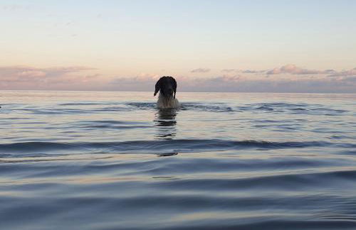 Robin Hill - Foto 46