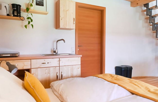 Loft-like Apartment With Swimming Pond - Photo 3