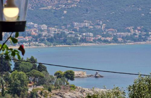 Stella's Garden - Foto 33