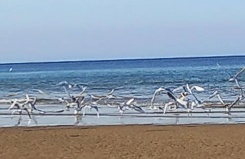 Chez Jeanne - Foto 24