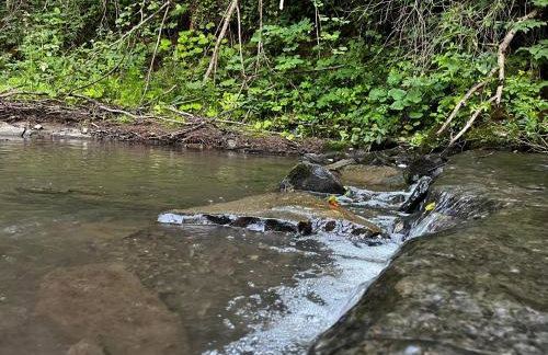 Ośrodek VolfCamp Kwaszenina - Foto 65