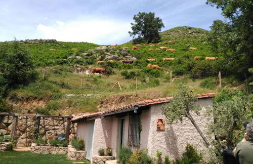 Abejas 1 de El Vergel de Chilla - Foto 34