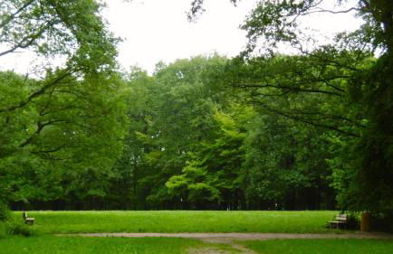 Appartement les Acacias - Foto 11