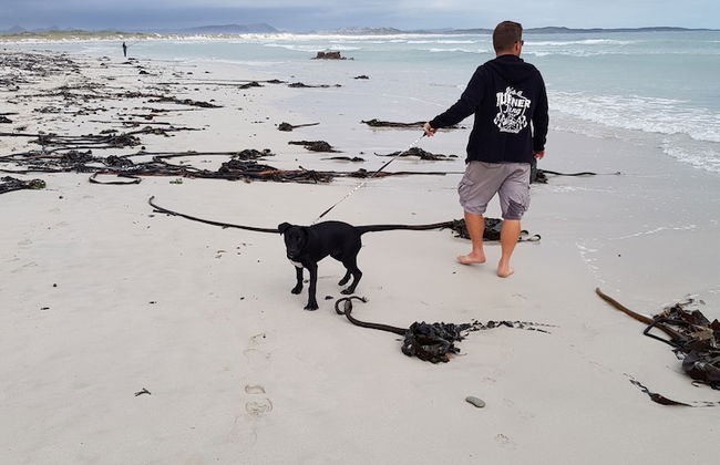 Walkerbay Accommodation - Foto 51