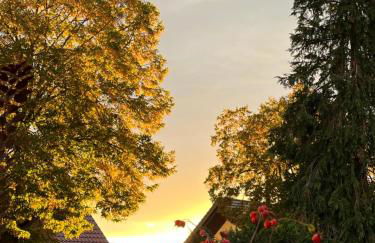 Kunstpause am Altmühlsee - Foto 15