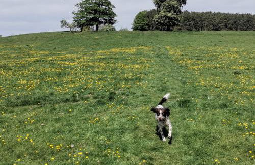 Fern Lodge - Foto 21