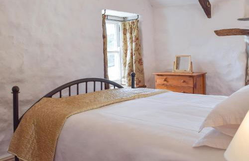 Old Dinas Arms - Foto 28