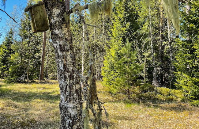4 Star Holiday Home in Hacksvik - Foto 8