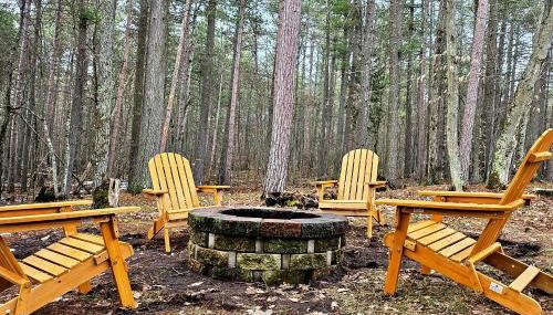 ADK Forest Cabin near Lake Placid with Hot Tub and Ice Bath - Foto 3, Garden