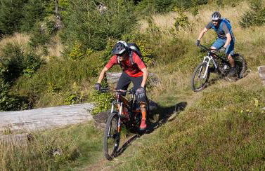 HIRSCH Hänsel Ferienhaus Garten mit Bergblick - Grill -Wald - Foto 35