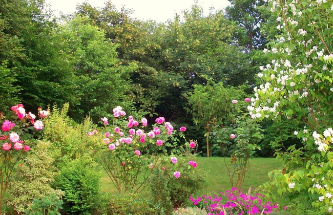 Cozy Chalet in Francorchamps - Photo 31