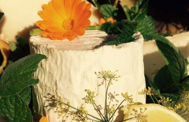 Bio Agriturismo Valle dei Calanchi - Foto 37