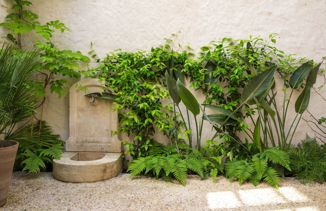 Les Sarments ***** - Beaune - Foto 13