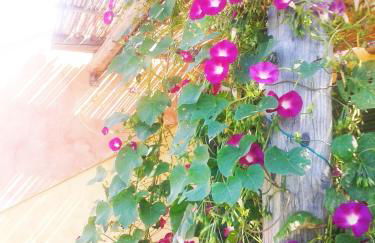 Kiteshomes - Foto 46