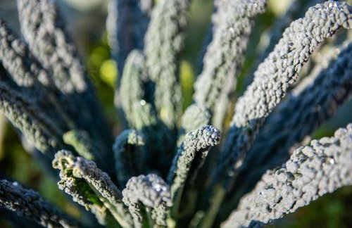 Agriturismo Terre Bianche - Foto 26