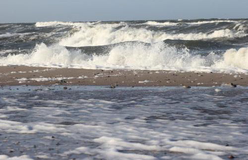 Ferienwohnung Vogelsang - Foto 28