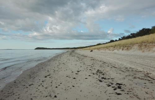 Finnhütte Bernstein - Foto 16