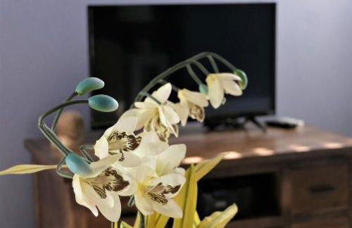 Barra Villa Resort House II - Foto 7