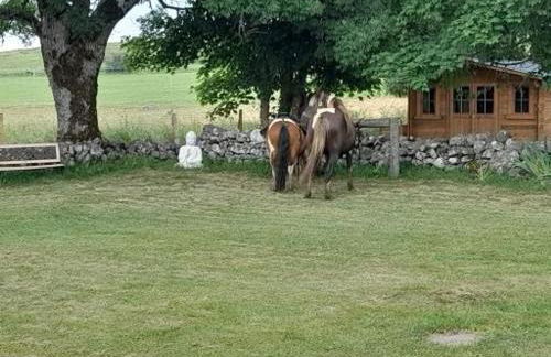 Gîte rénové pour 4 pers. avec accueil équin, Saint-Front - FR-1-582-538 - Foto 35