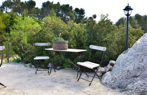 Domaine du Mas Foucray - Foto 48