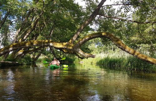 Domek Mazury - Jezioro Orzysz - Foto 36