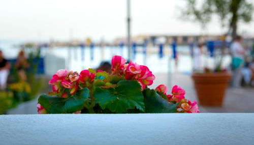 MARINELLA CASA VACANZE - Foto 2