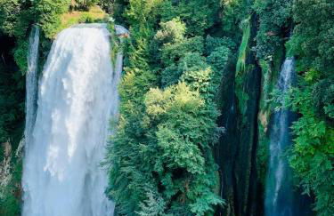 La casa del timo - The house of thyme - Foto 38