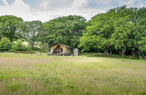 Tent 1 Deerland - Ukc4716 - Foto 19