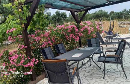 Eco Secluded apartments Zabodarski - Foto 77