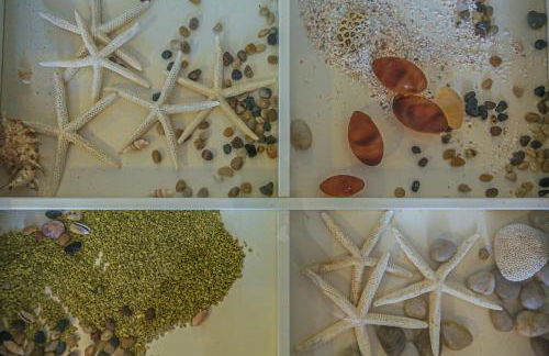 Guardamar A 202 - ONLY FAMILIES - Foto 17