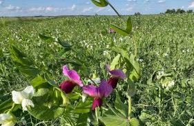 W Kręgu Natury - Foto 33