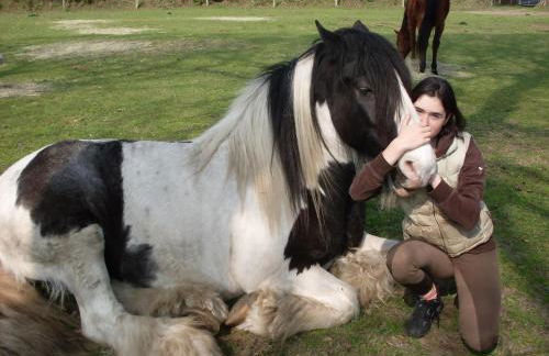 Ferienhof Welsch - Foto 14