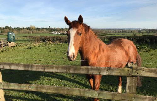 Stable Court Apartments - Foto 34