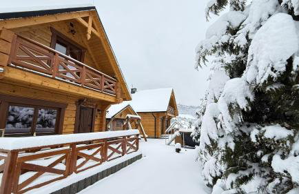 Domki z bali na miedzy - Foto 1