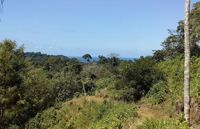 Drake Lapas - Foto 32